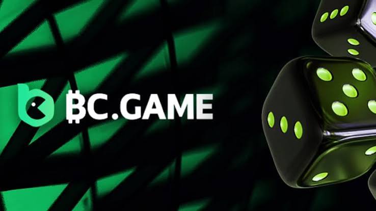 Experience Gaming on the Go with the BC.Game Mobile App