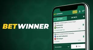 Explore the BetWinner Platform Your Comprehensive Guide to Online Betting
