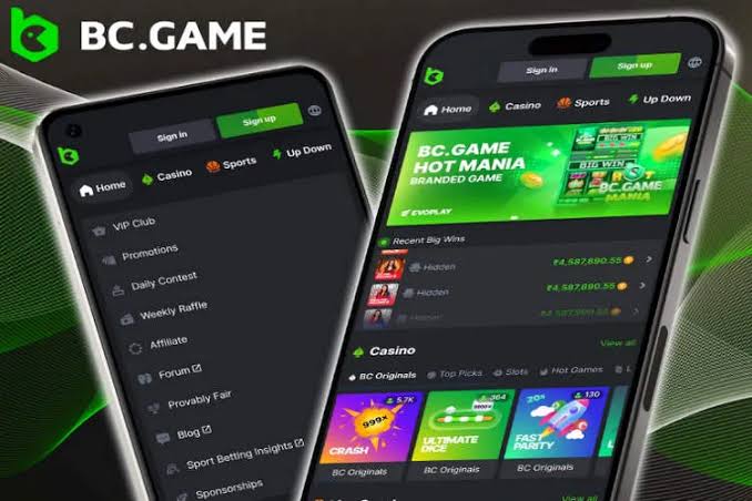 Exploring BC.Game Online in Indonesia The Ultimate Gaming Experience