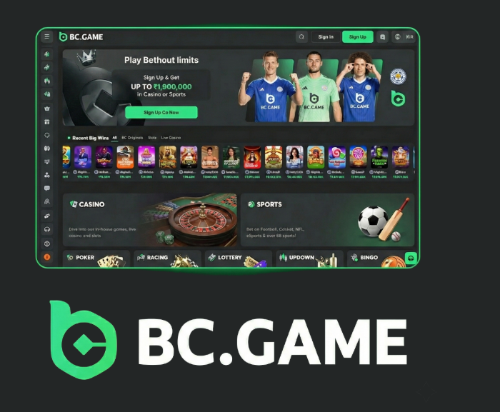 Guide to BC.Game Mexico Registration Process Guide to BC.Game Mexico Registration Process